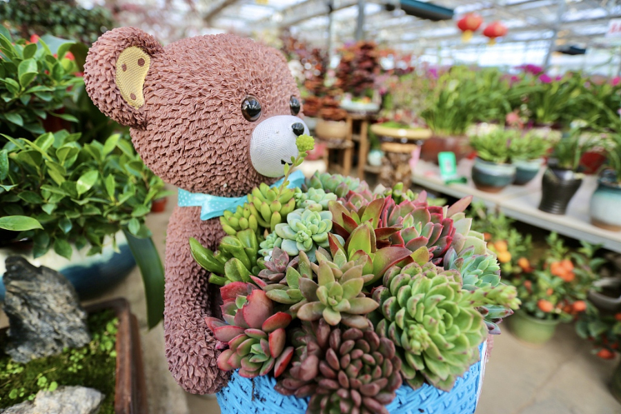 Tai'an flower markets popular before holiday