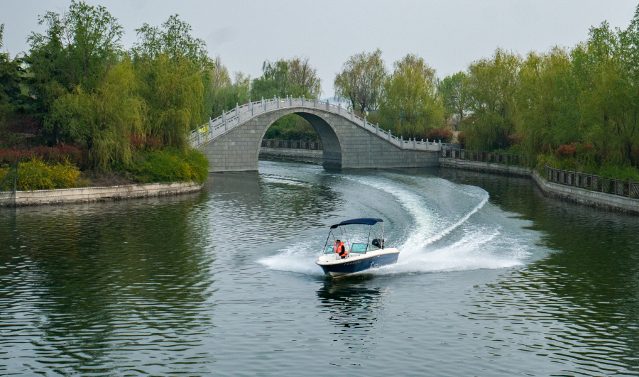 Blooming tulips enchant visitors in Tai'an