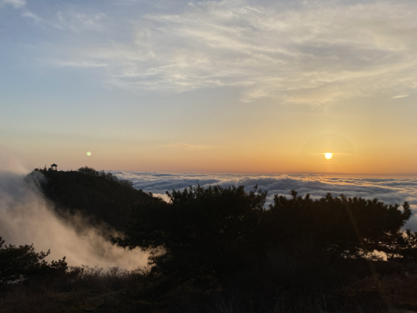 Tai'an recognized as 'city of beauty'