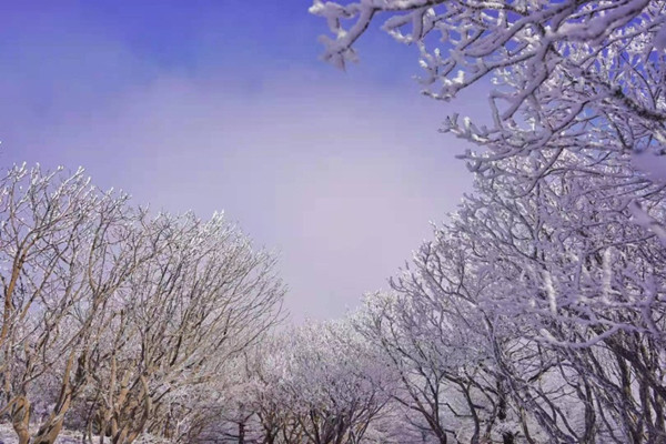 In pics: Mount Tai creates a delicate rime fantasy