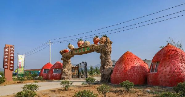 Best places for strawberry picking in Tai'an