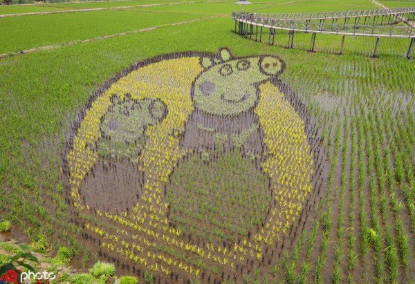 Shenyang displays spectacular paddy field art