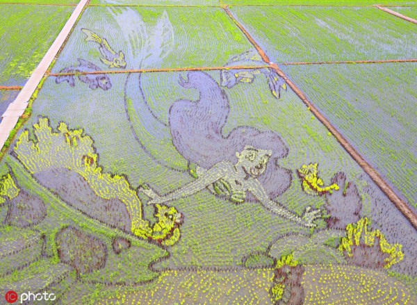 Shenyang displays spectacular paddy field art