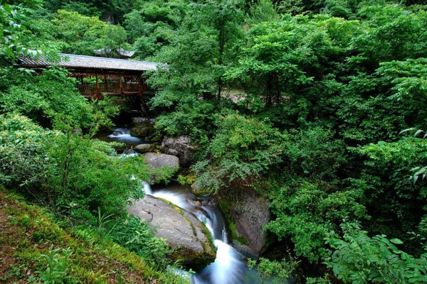 Shennongjia Nature Reserve
