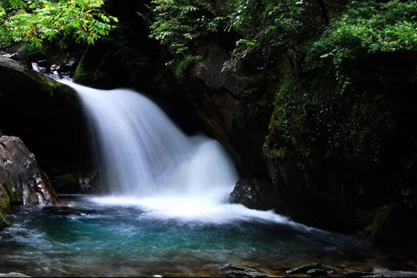 Shennongjia Nature Reserve