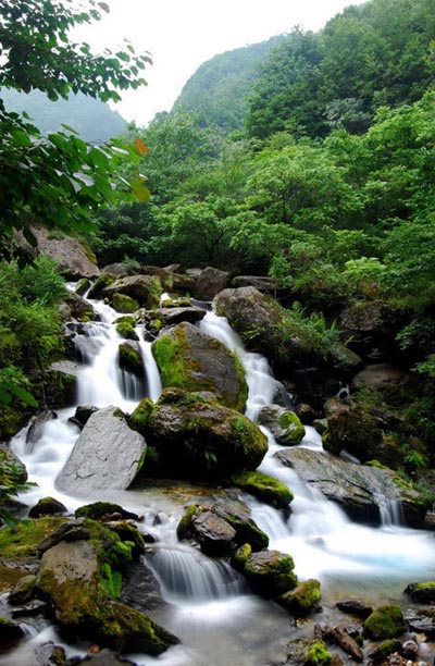 Shennongjia Nature Reserve