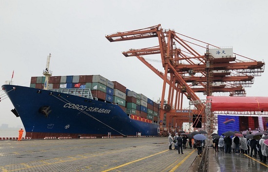 Xiamen Port sees steady growth in container throughput