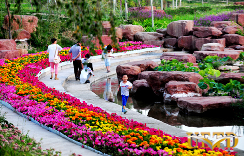 Efforts at environmental improvement paid off in Xinjiang