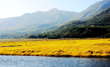 Picturesque scenery of Beihai Wetland