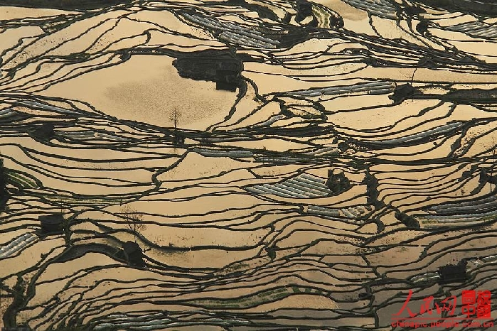 Breathtaking Yuanyang Terrace, Yunnan