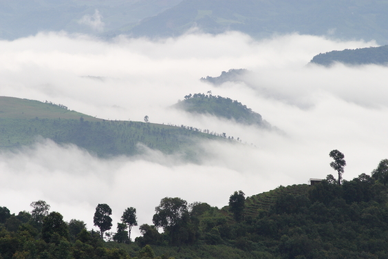 Jingmai-Mangjing Scenic Spot