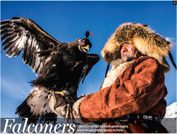 Falconers hope to preserve a dying art