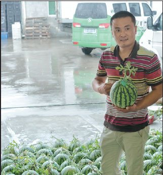 Watermelon experts in high demand