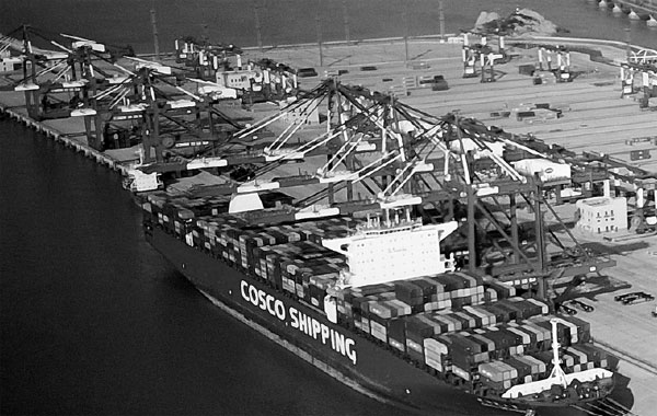 Largest automated container terminal starts operations