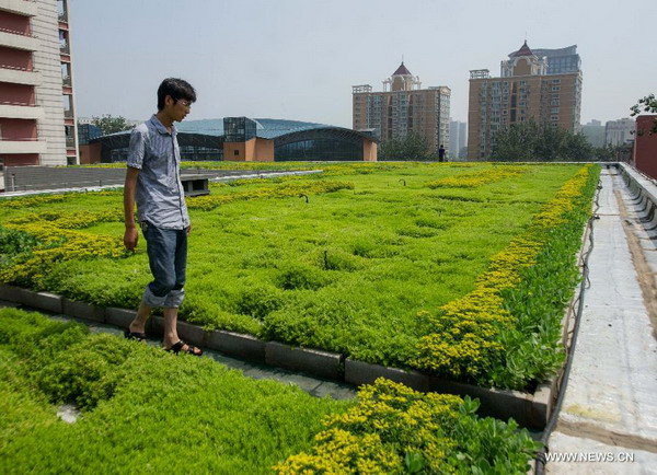 Greening Beijing's rooftops