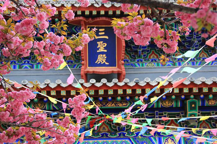 Qingdao, a city with green trees and red roofs