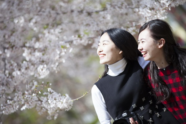 Immerse yourself in a sea of flowers in Qingdao