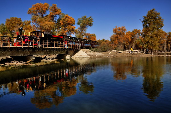 Populus euphratica in Luntai county: conserving the most beautiful trees