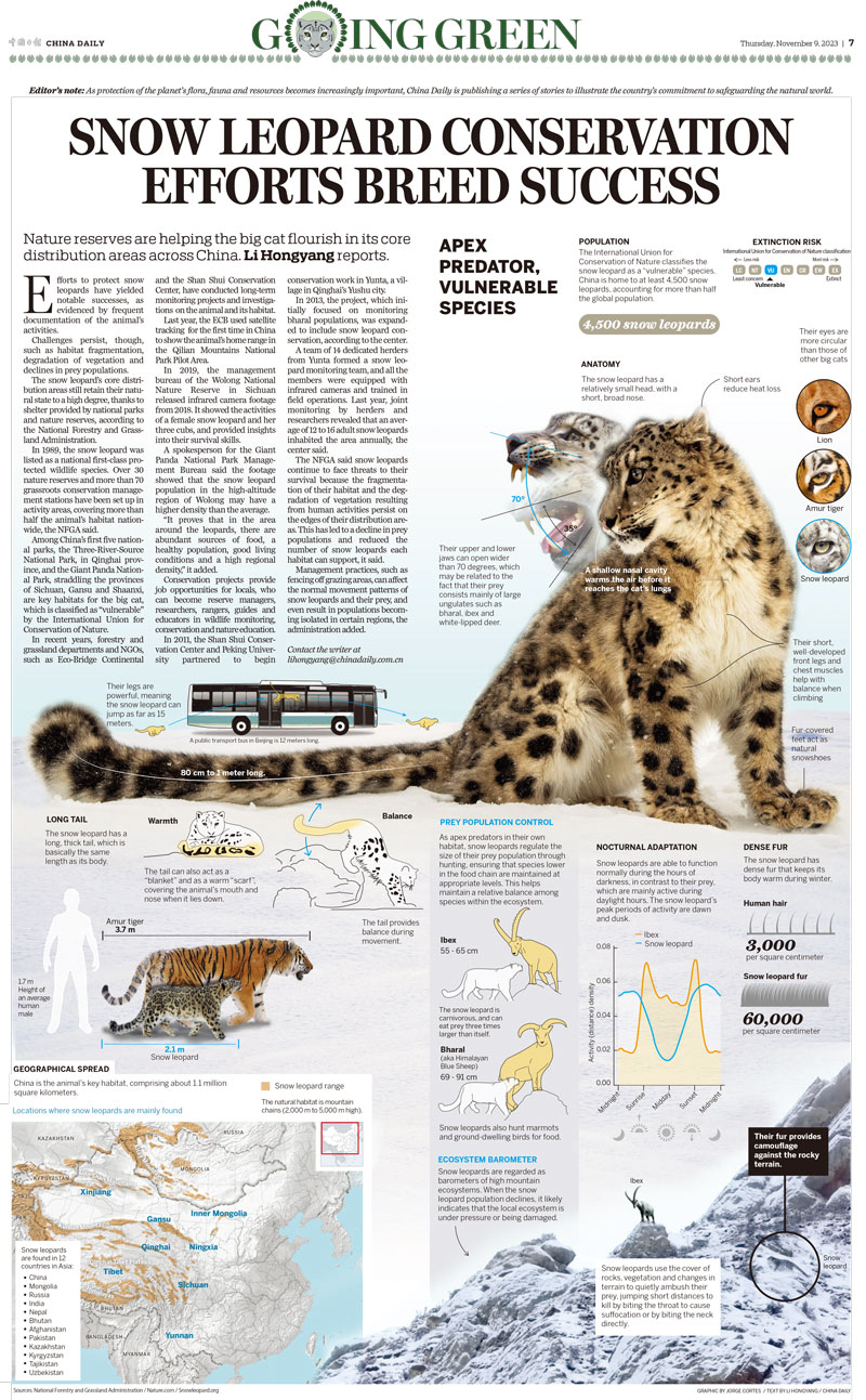 Snowleopard China Daily infographic