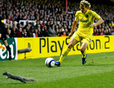A squirrel runs off the pitch as Villarreal's Diego Forlan crosses the ball during the Champions League first leg semi-final soccer match against Arsenal at Highbury in London April 19, 2006.