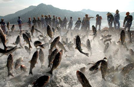 Fishermen see big harvest