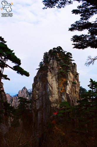 Beautiful sceneries at Mountain Huangshan in East China's Anhui Province: Shixin Peak[www.moobol.com]
