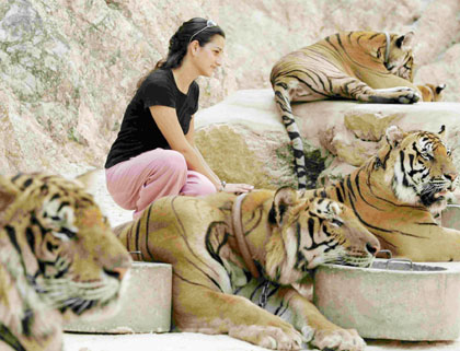 Tiger Temple in Thailand