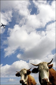 A380 in flight