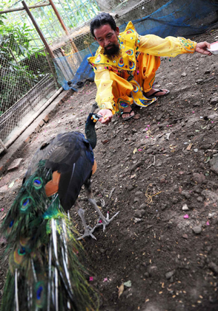 40 years love of Peacock Dance