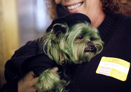 Times Square Dog Day Masquerade