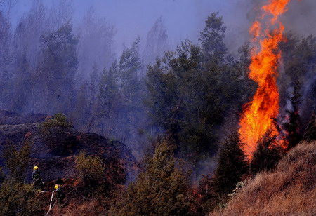 Forest fire in Dali