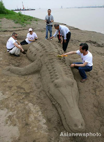 'African crocodile' comes ashore in Wuhan