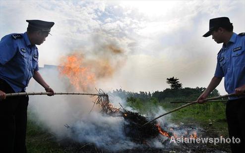 Drugs burned in East China