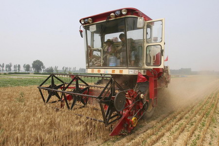 Race for wheat harvest in central China