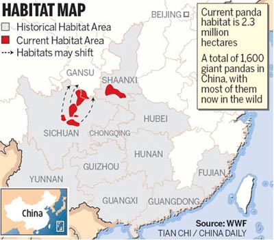 Threatened giant pandas 'moving northward'