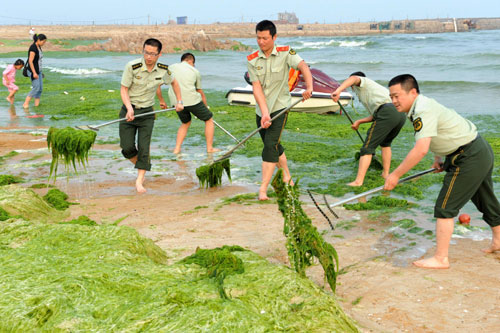 Fighting algae in E China coastal city