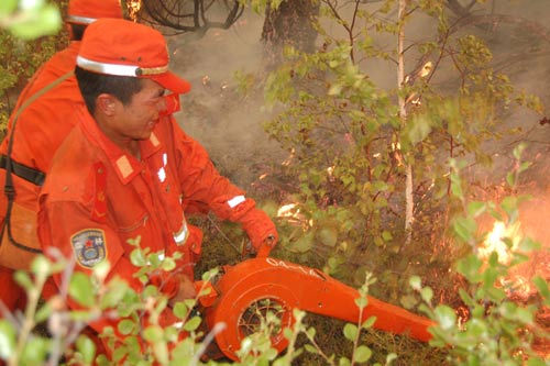 Combat with forest fire continues in NE China