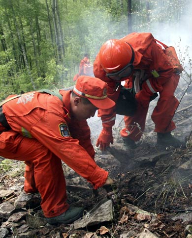 Forest fire put out in north China