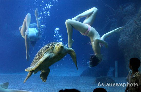 Water ballet performed in East China