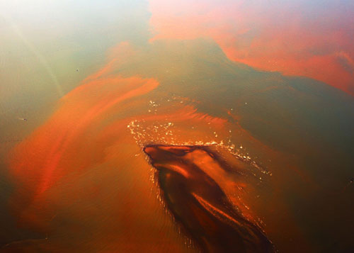 Red tide creates unearthly sight in Fujian