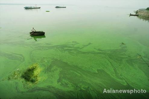 Algae outbreak threatens drinking water source