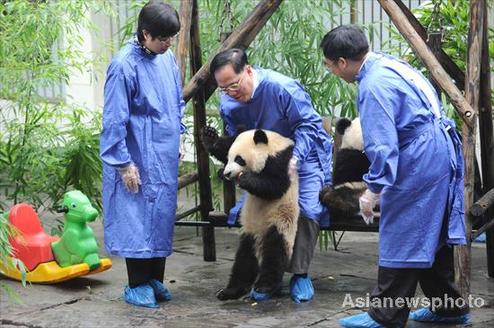 HK Chief Executive and wife visit giant pandas