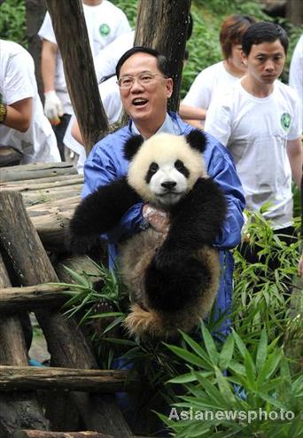 HK Chief Executive and wife visit giant pandas