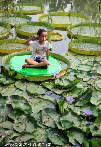 Children lounge on giant lotus leaves