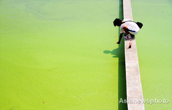 Massive duckweeds on Wuhan’s East Lake