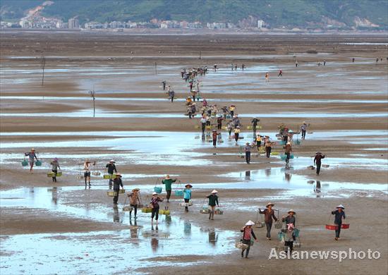 Fishers return from collecting razor clams