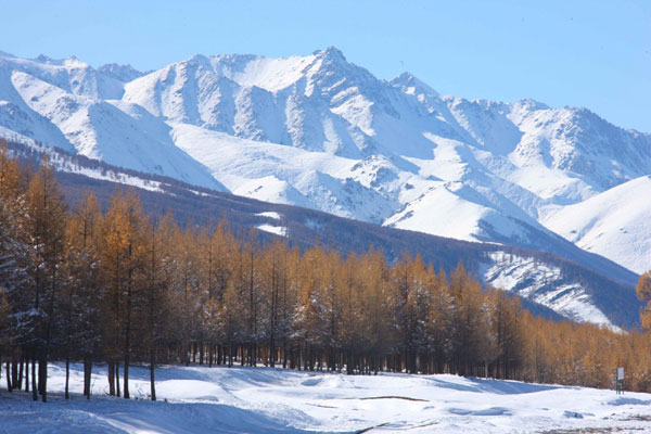 Winter beckons as early snow covers Tianshan