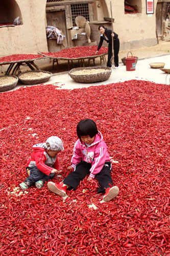 Village prepares for chili pepper festival