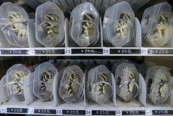 Chinese vending machine sells live crabs