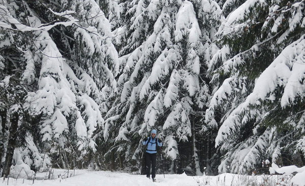 Snowy Christmas ahead for Europeans
